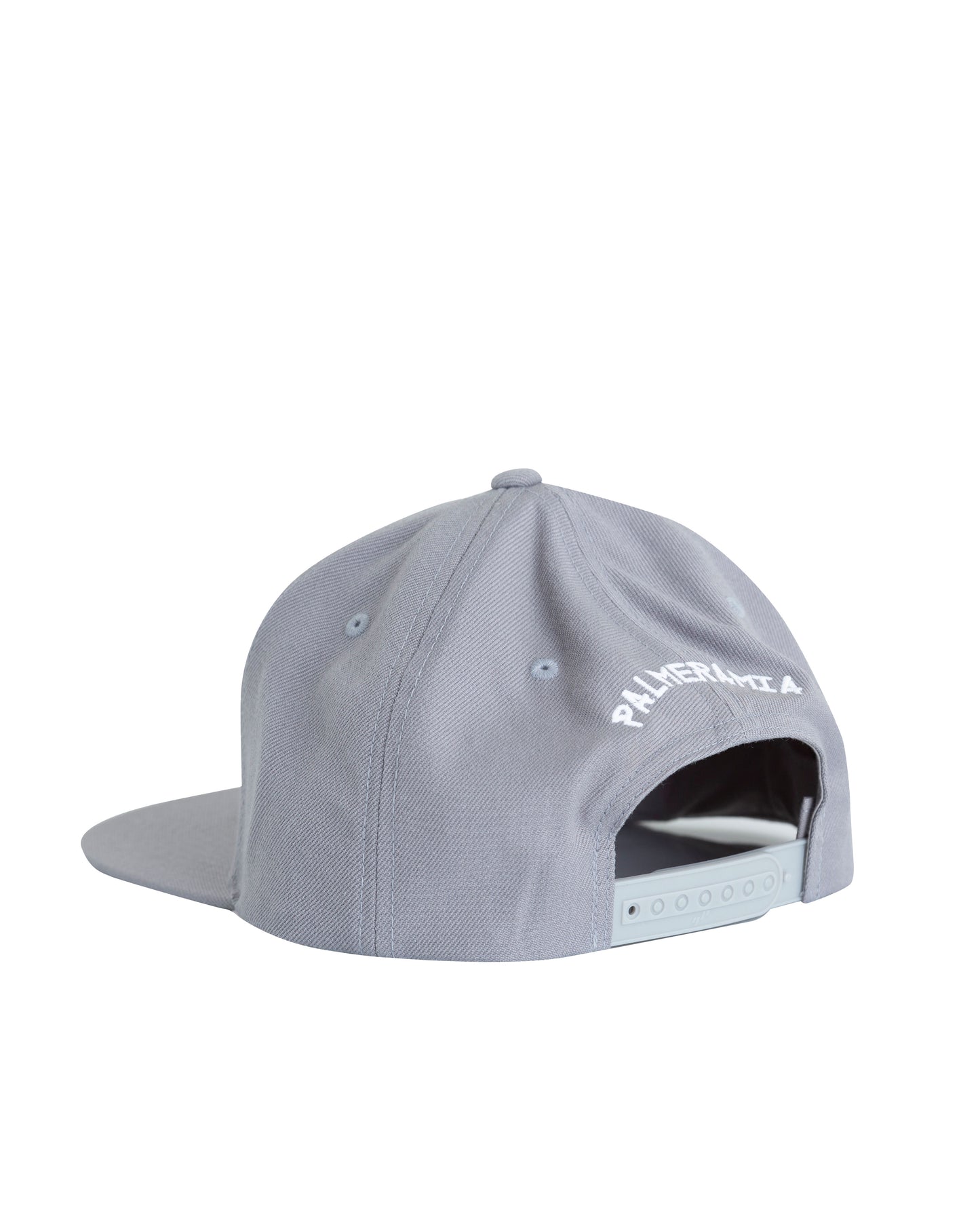 SILVER CLASSIC SNAPBACK